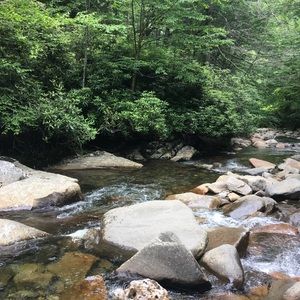 Meet your Posher, Connie